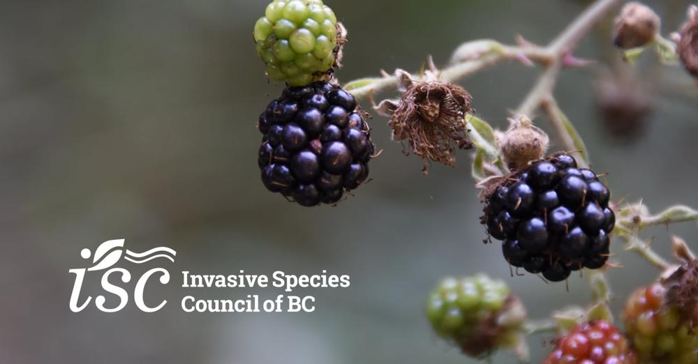Invasive Species