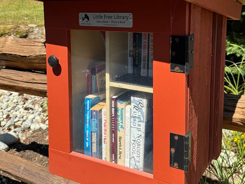 little libray